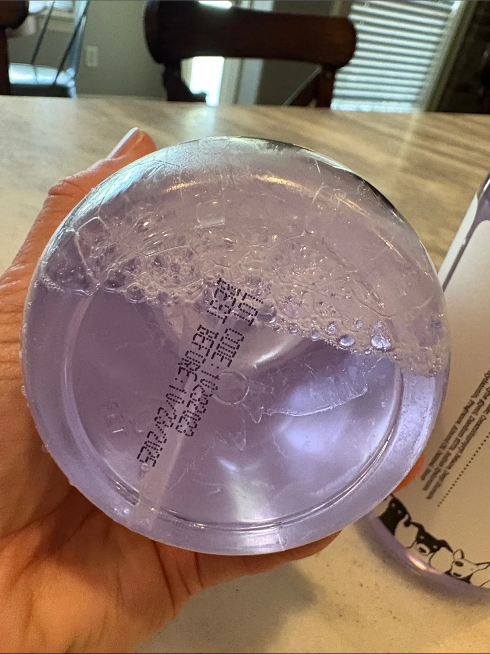 Rae Dunn CALM Lavender Mint Purple Pump Foam Pet Shampoo - Set of 2